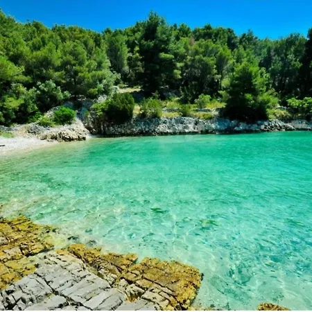 Brac *